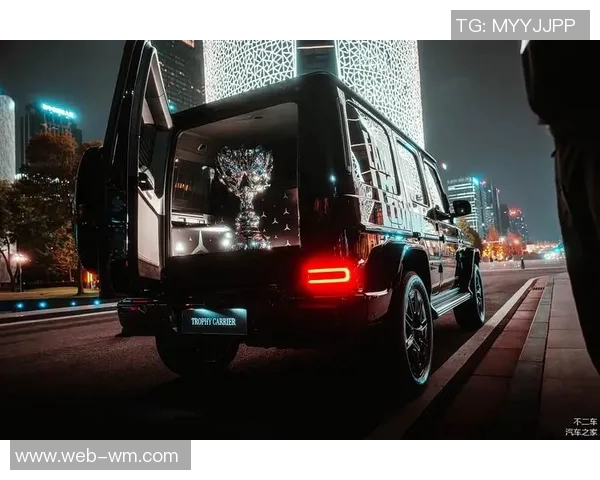 奔驰宝马真人线上娱乐-奔驰宝马与线上娱乐，真人互动的新时代体验-奔驰宝马真人线上娱乐